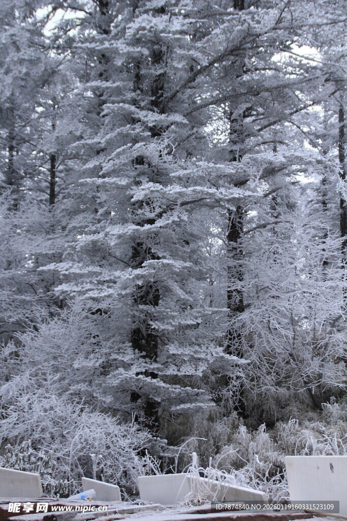 雪覆山林美景
