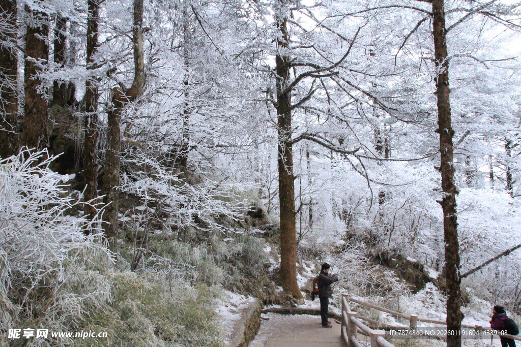 冬日雪林步道上的赏景人