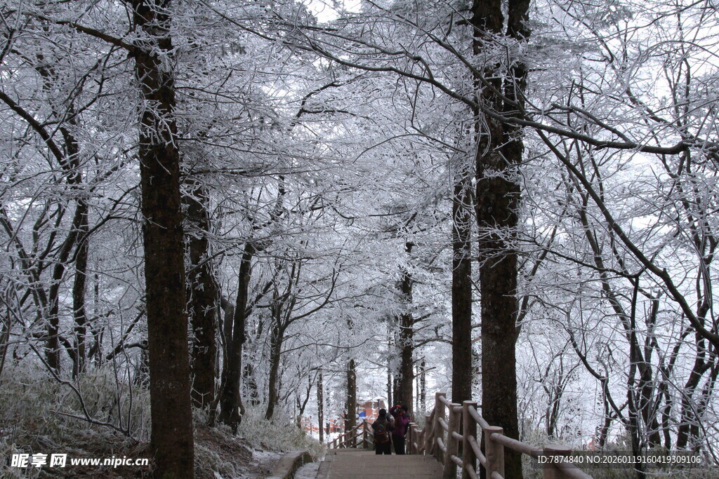 雪覆山林中的木质步道