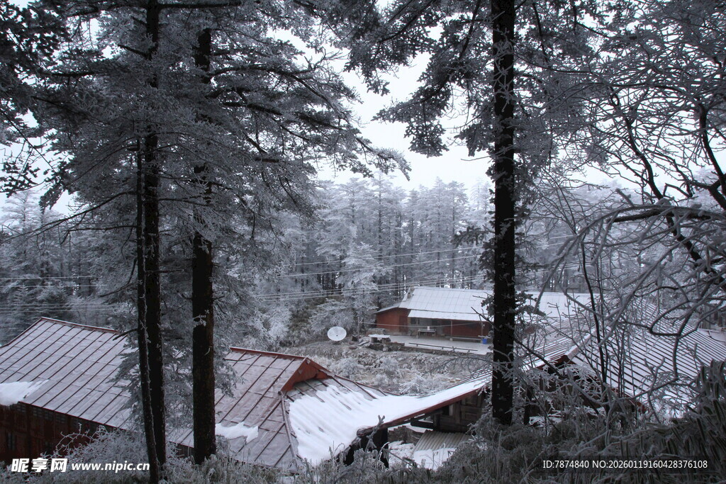 雪覆林间小屋的静谧景致