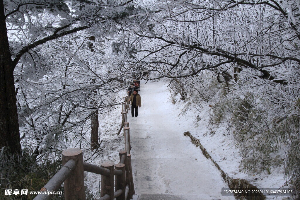 雪覆林间步道 静谧美景