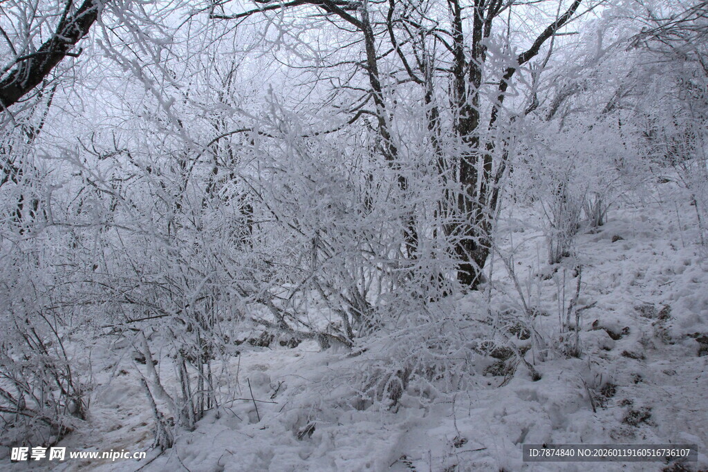 雪覆山林美景