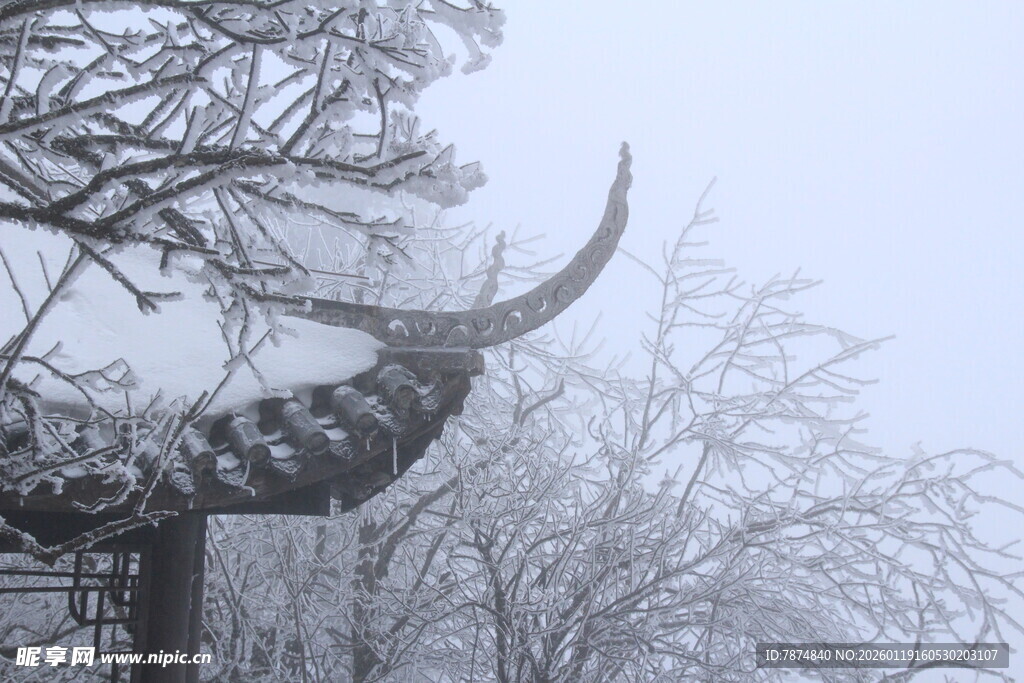雪覆屋檐与枯树的冬日景