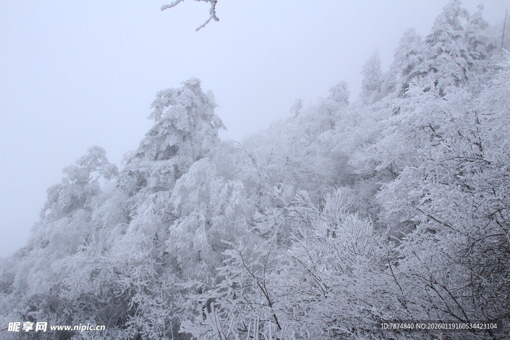 雪覆山林美景