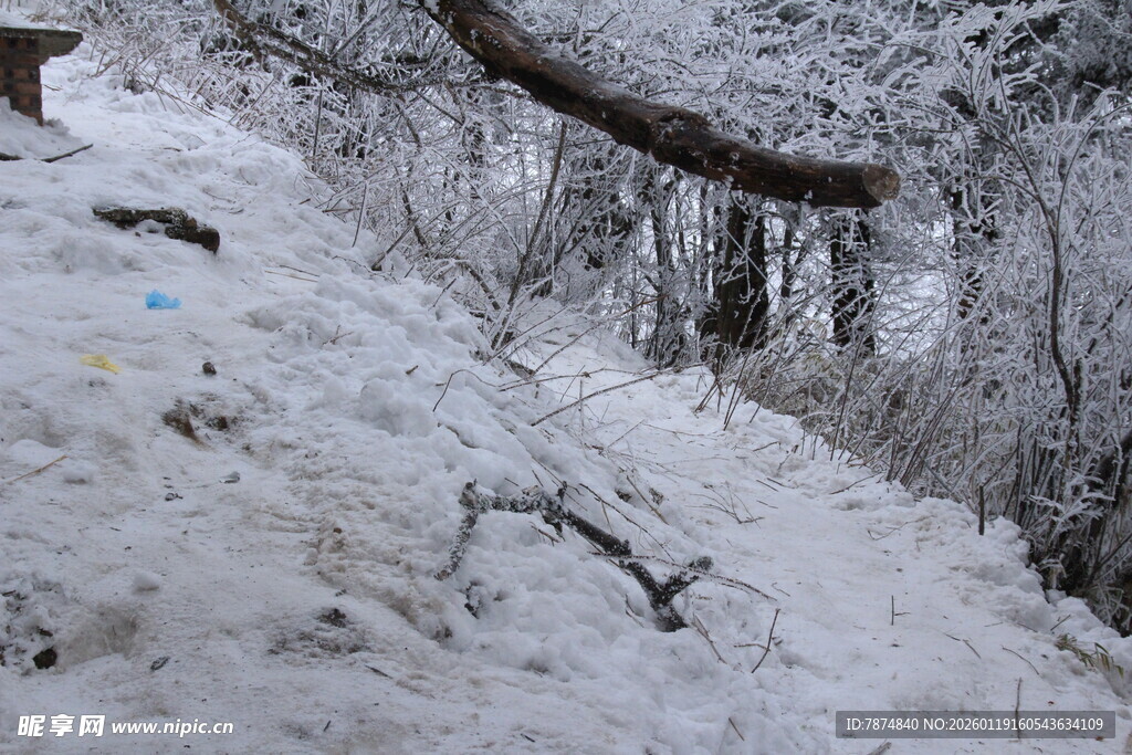 雪覆山坡与树枝景象