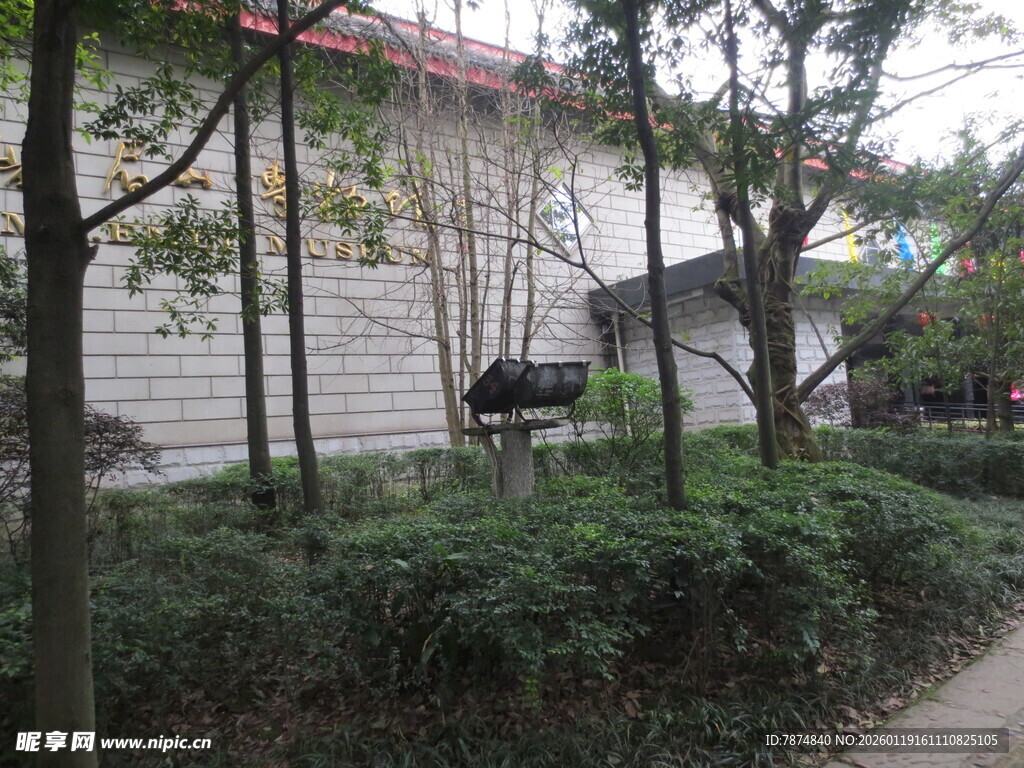 校园旁的绿植与建筑景观