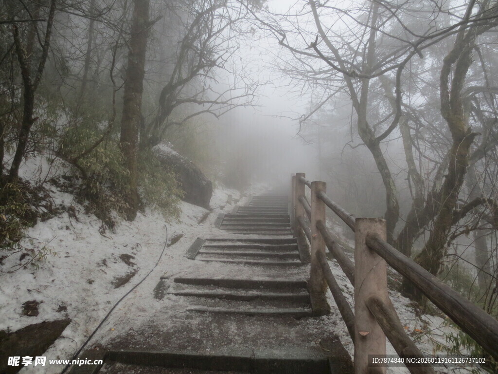 雾中雪覆木梯的山林景致
