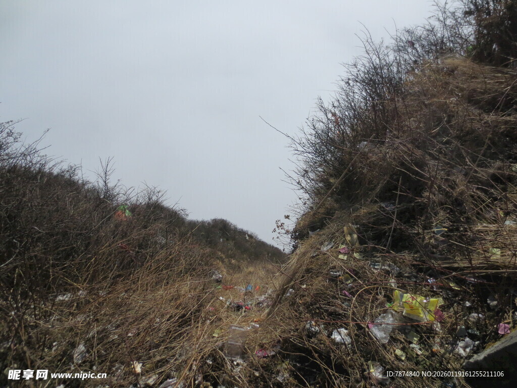 山间荒野景象