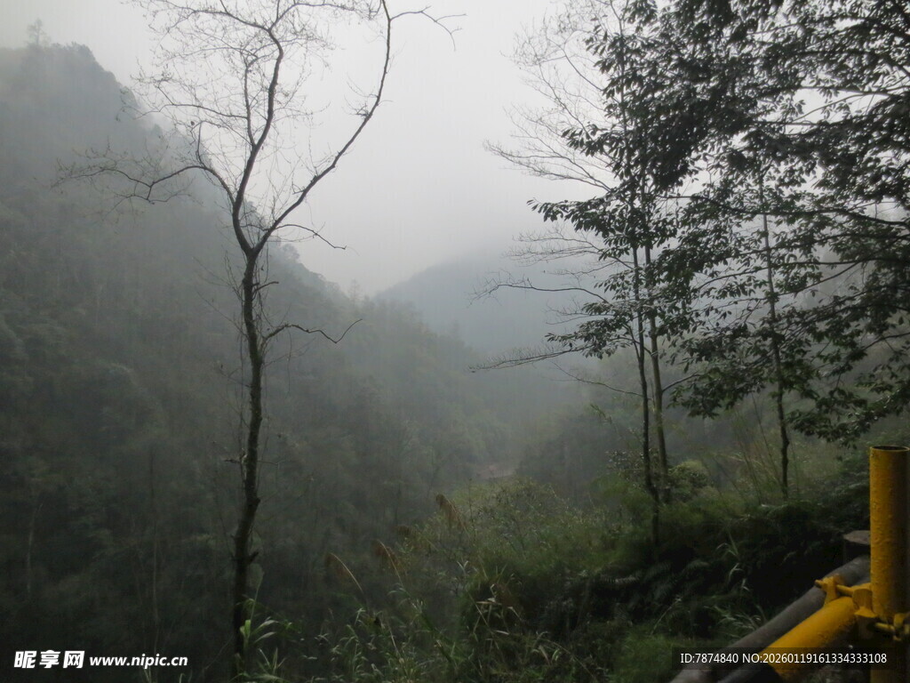 山间雾景中的树木与护栏