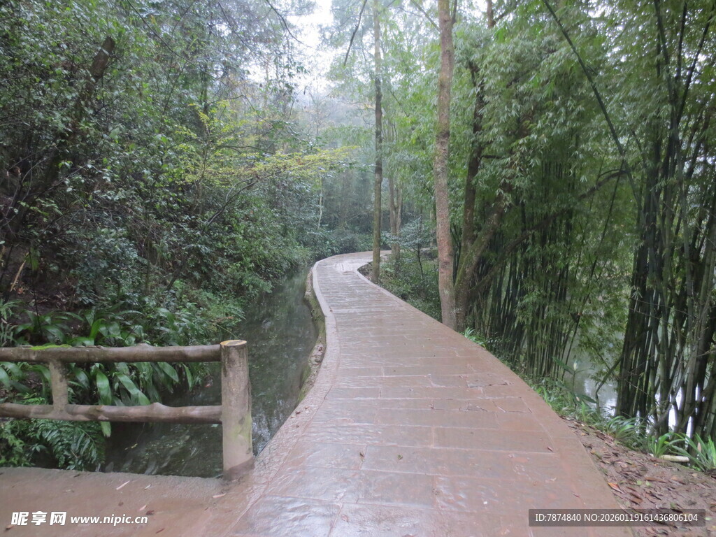 雨中竹林小径