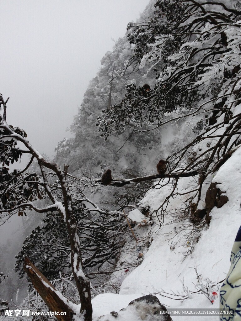 雪覆山林景
