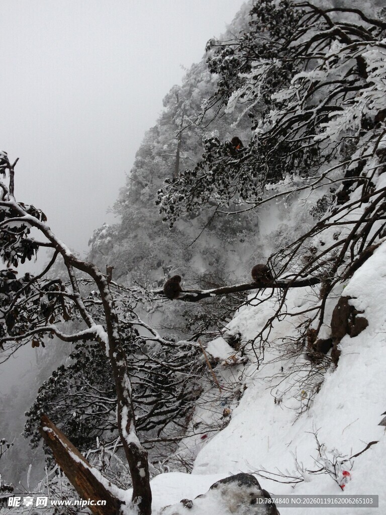 雪覆山林景