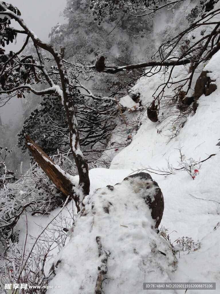 雪覆山林间的崎岖小径