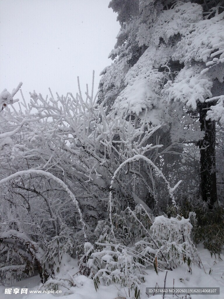雪覆山林景致