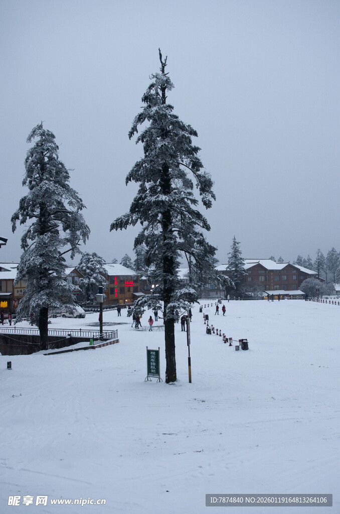 冬日雪景中的树木与建筑