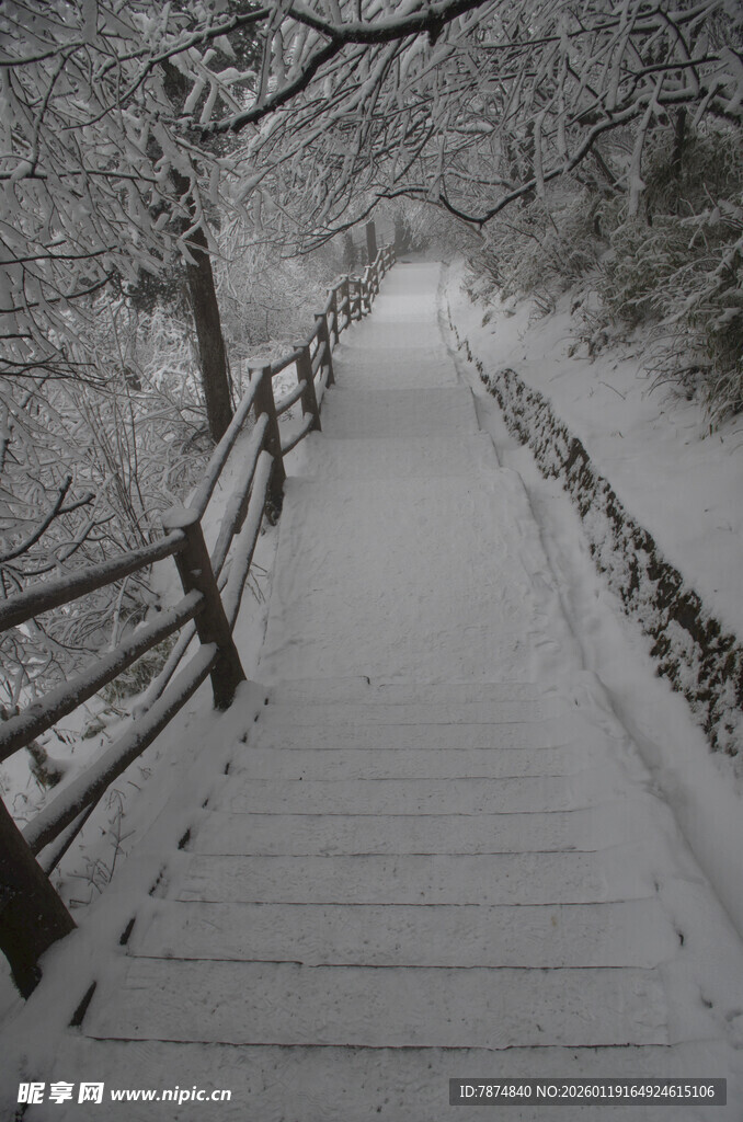 雪覆石阶 冬日静谧景致