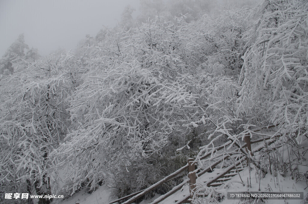 雪覆山林 木栏蜿蜒