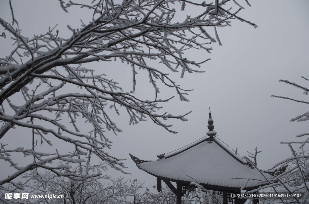 雪覆古亭 尽显冬日静谧之美