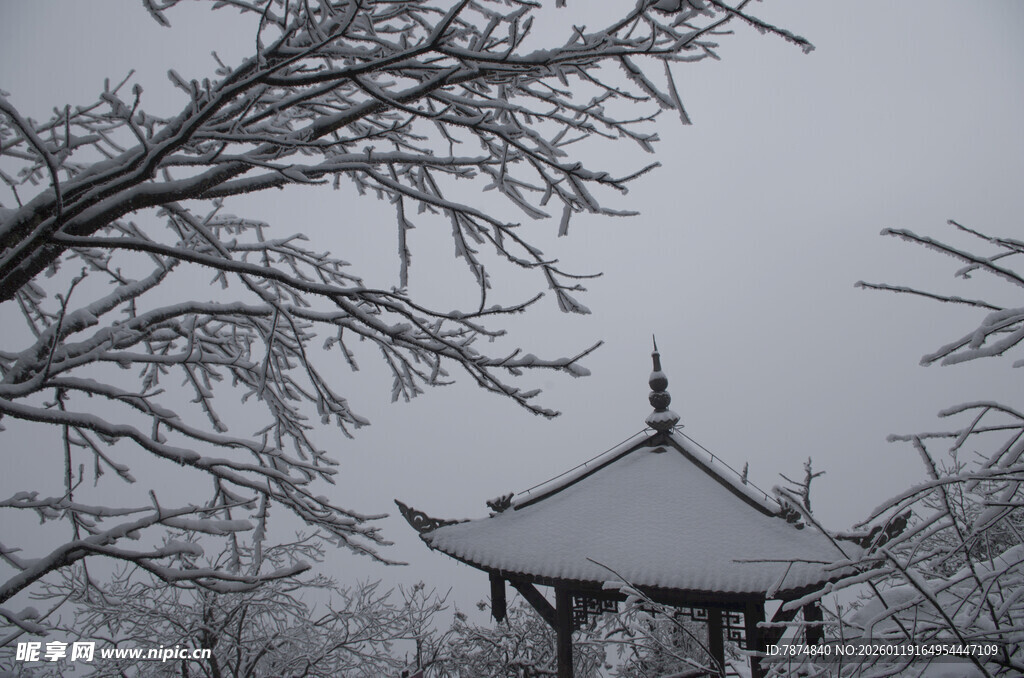 雪覆古亭 尽显冬日静谧