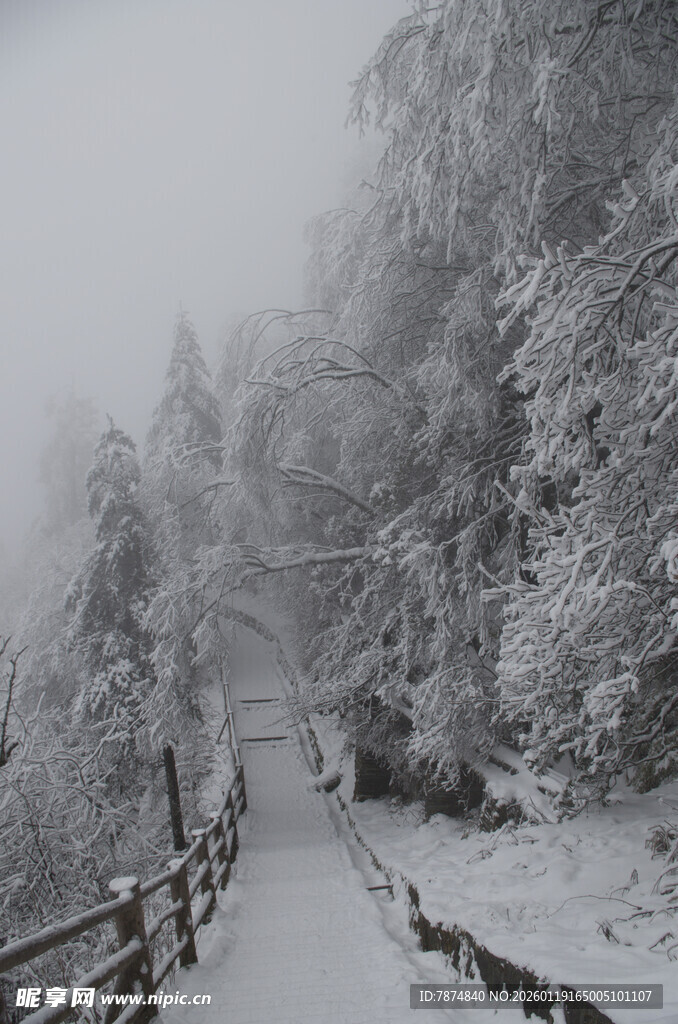 雪雾中的山间木栈道