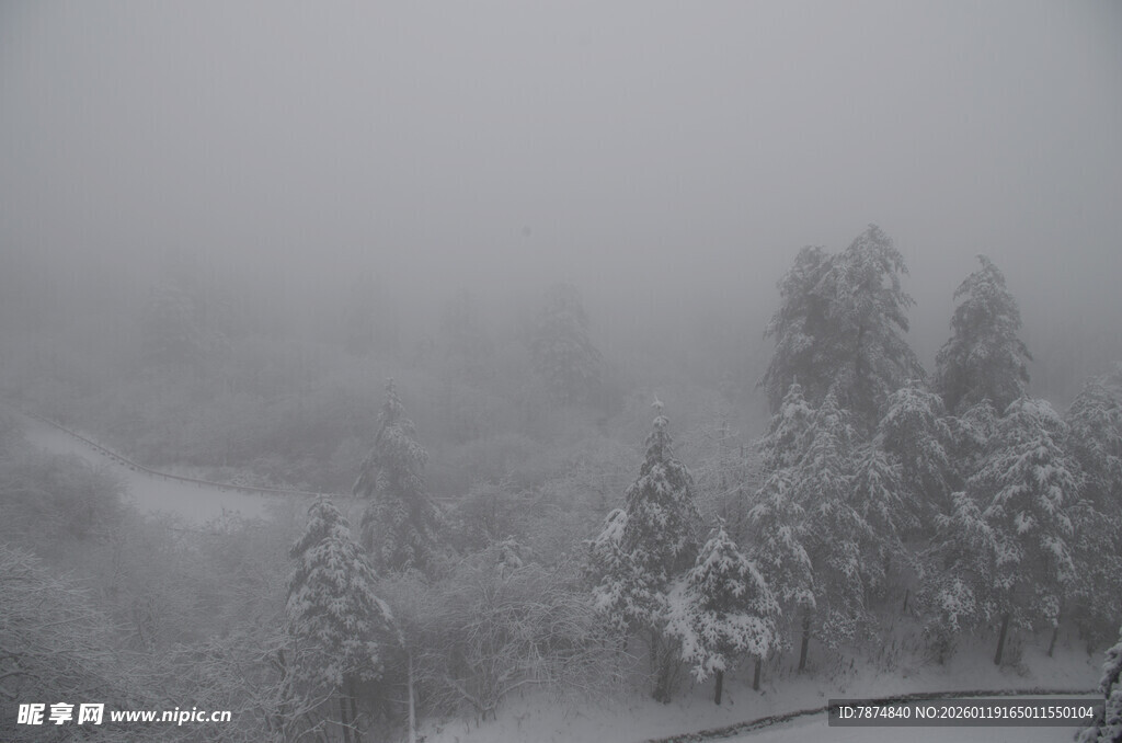雪覆山林的朦胧冬日景观