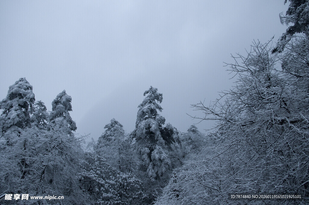 雪覆山林的冬日美景