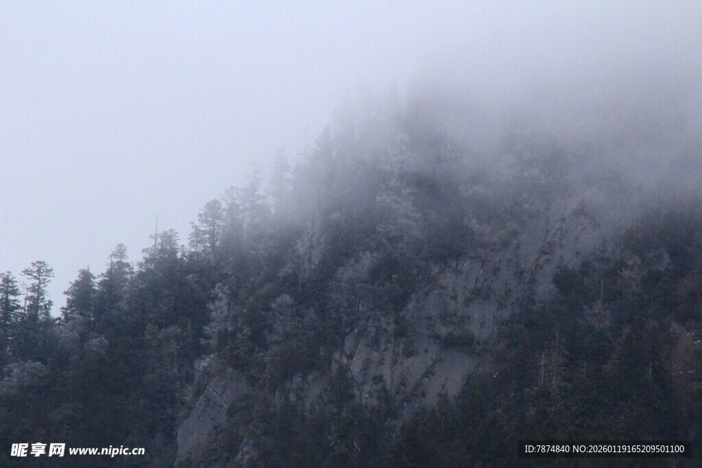 云雾缭绕的山林美景