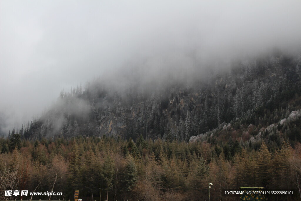云雾缭绕的山林景观