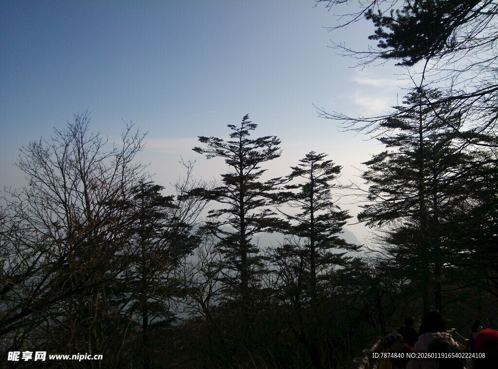 山林树木蓝天景象