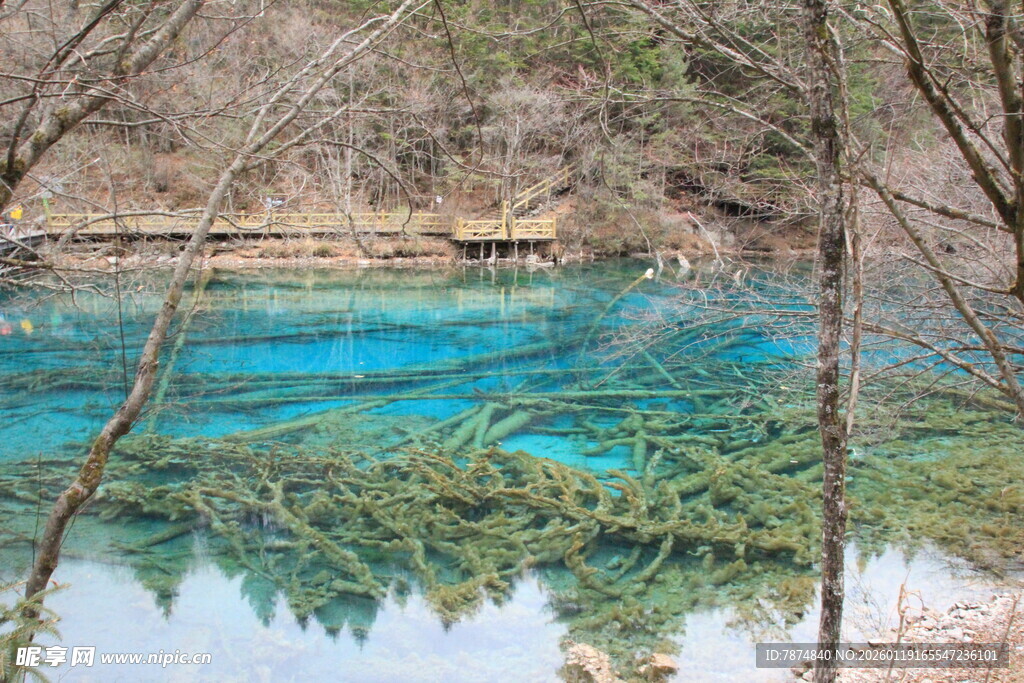 九寨沟蓝绿色湖水美景