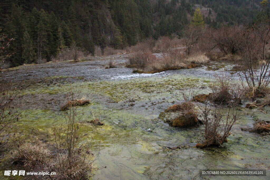 山间溪流湿地自然景致
