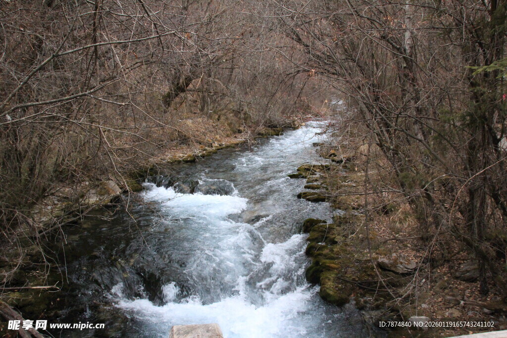 山间溪流潺潺流淌