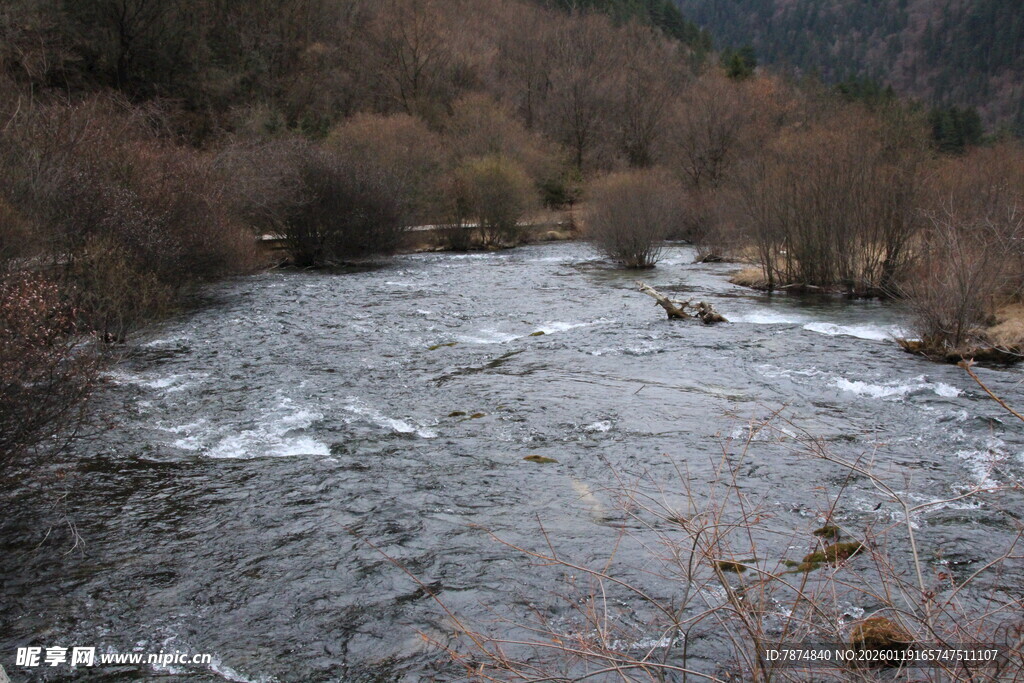 山间湍急溪流