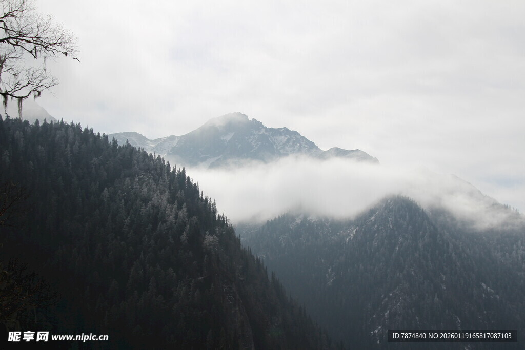 云雾缭绕的山间美景