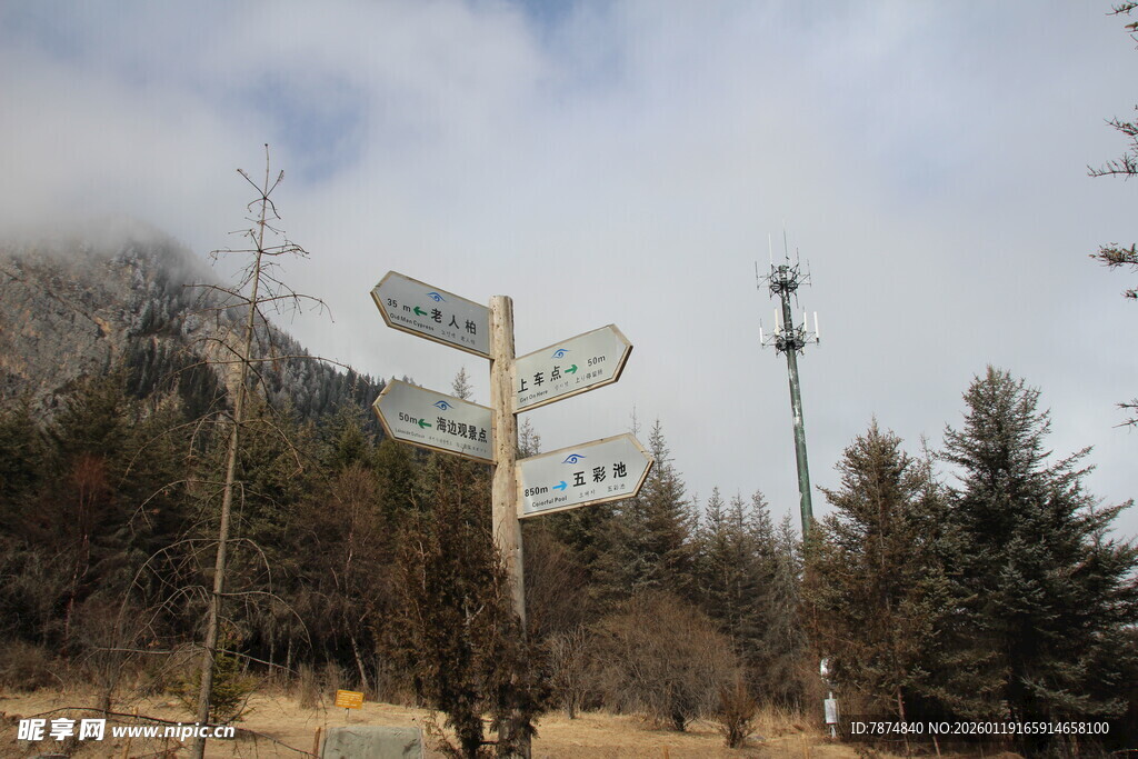 山林中的方向指示路标