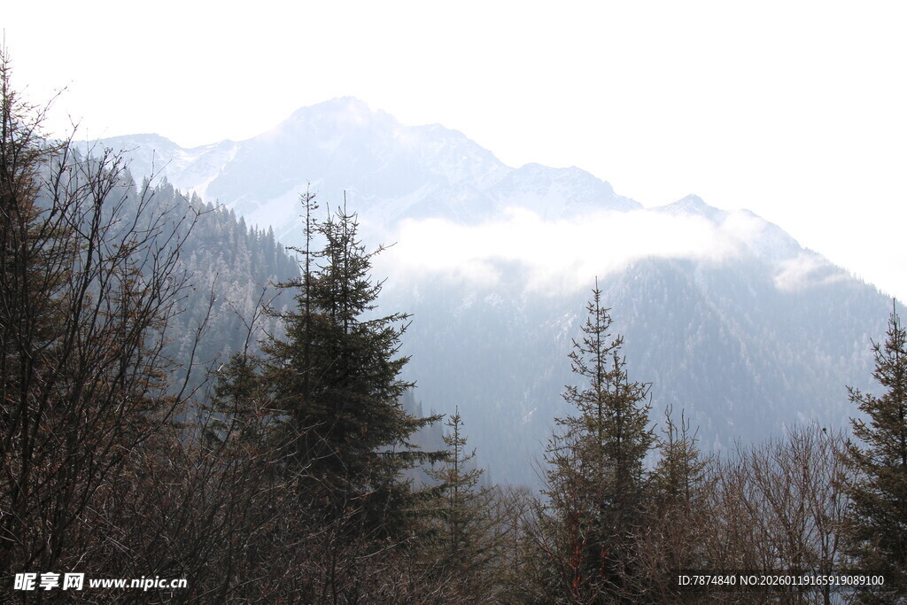 山林云雾中的秀丽山脉