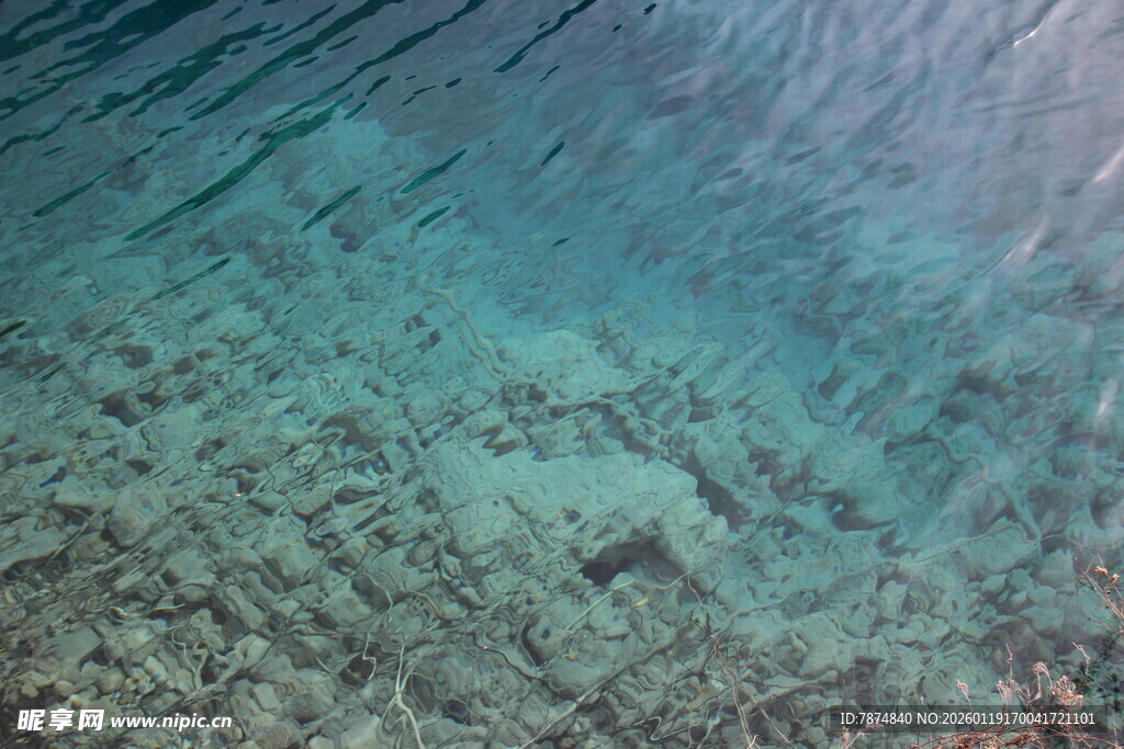 清澈海底景象