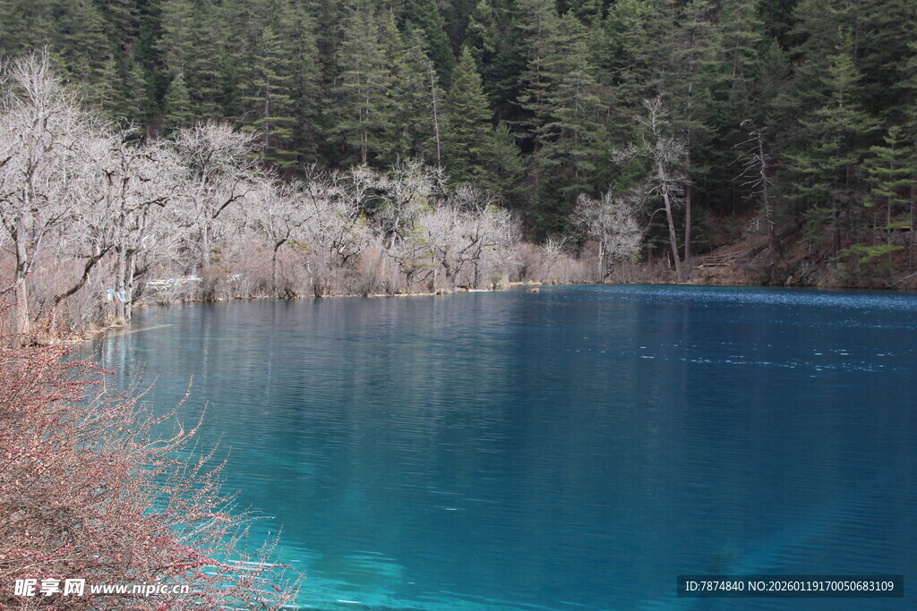 蓝湖春色 湖畔繁花映翠林