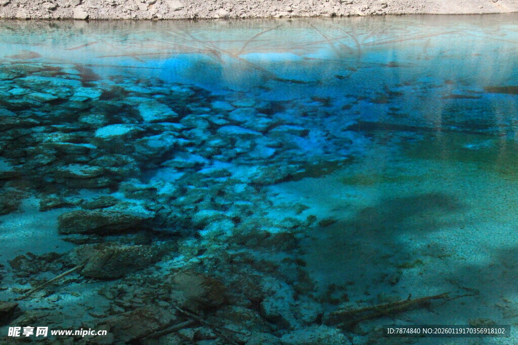 清澈见底的海底景观