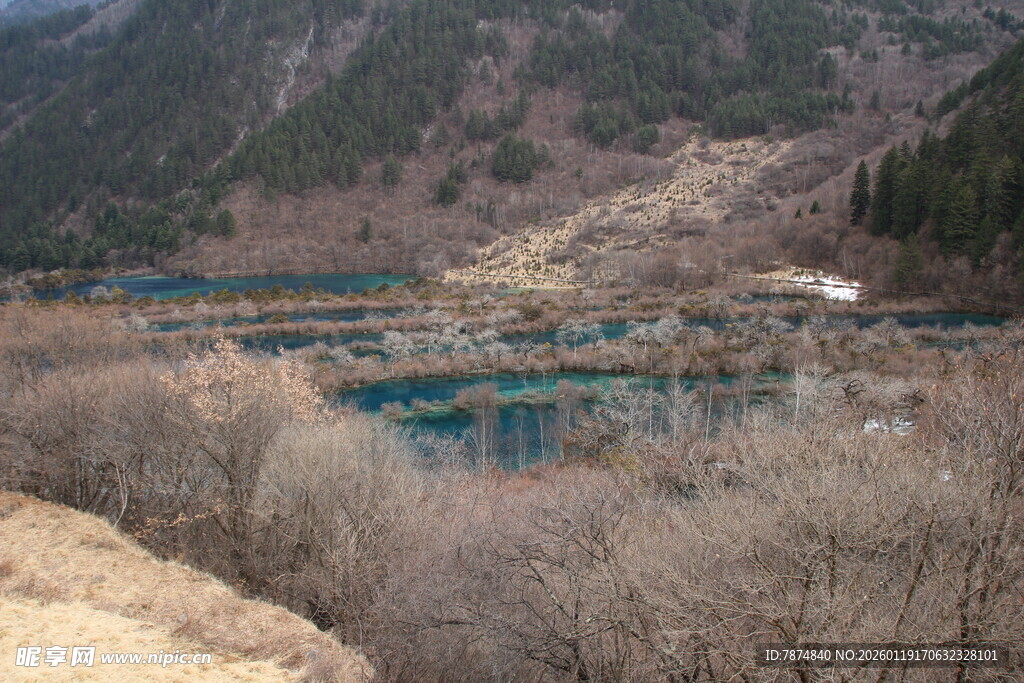 山间蓝湖与萧瑟树林景观