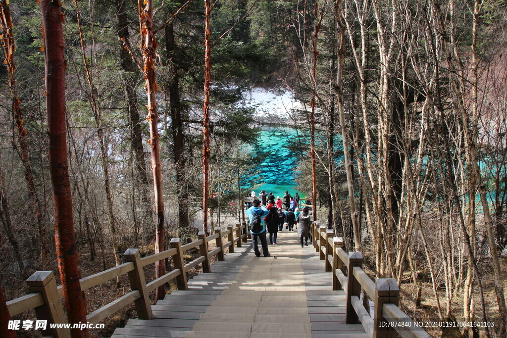 林间漫步道上的行人身影