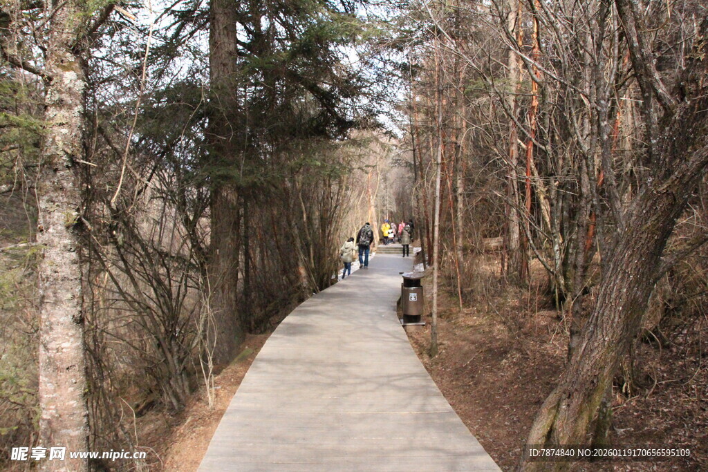 林间漫步道上的行人身影