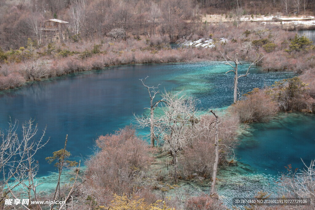 梦幻蓝湖 周边枯木景致