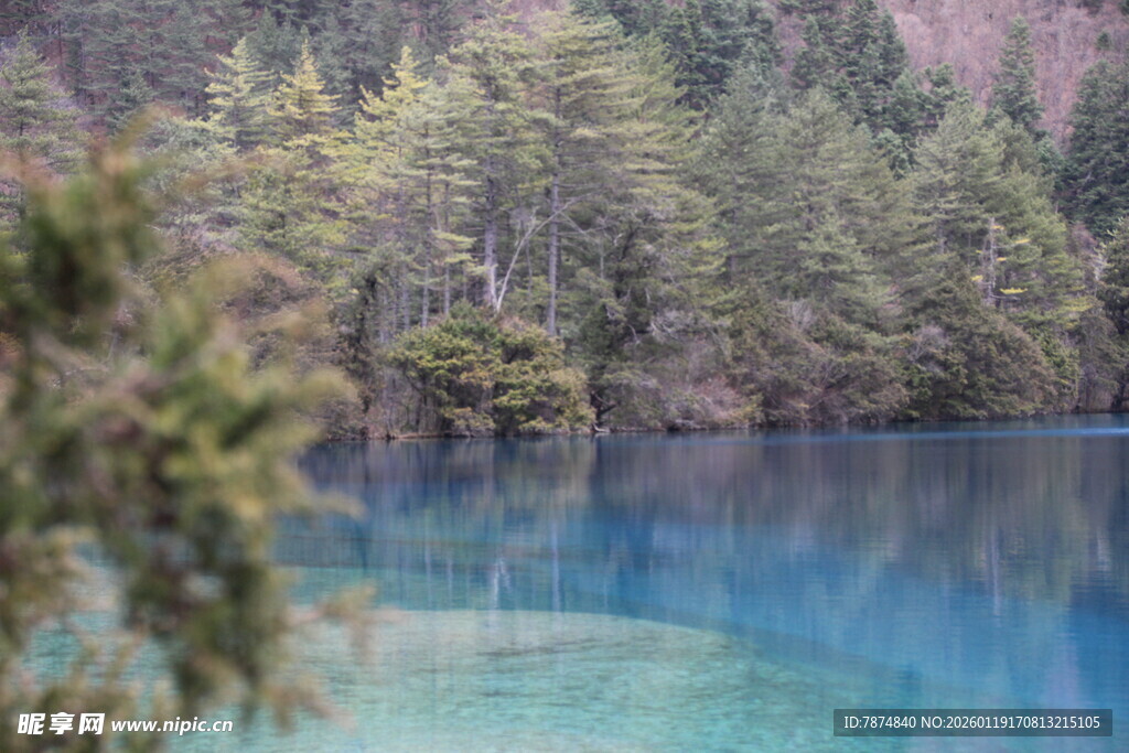 梦幻蓝湖旁的葱郁森林