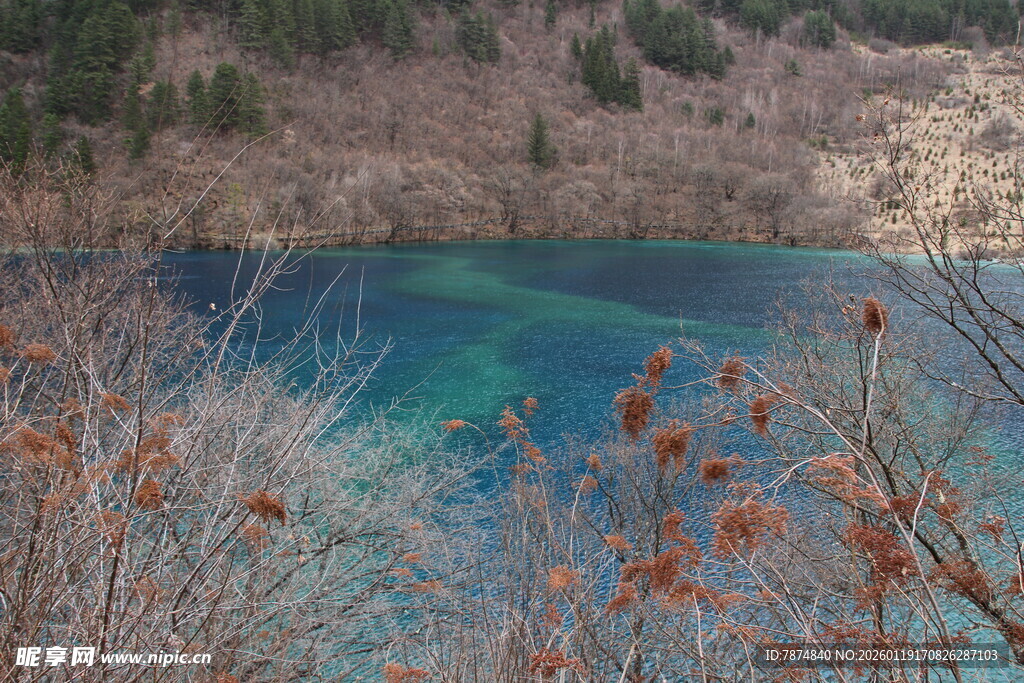 湖畔秋景 湖水清澈映山林