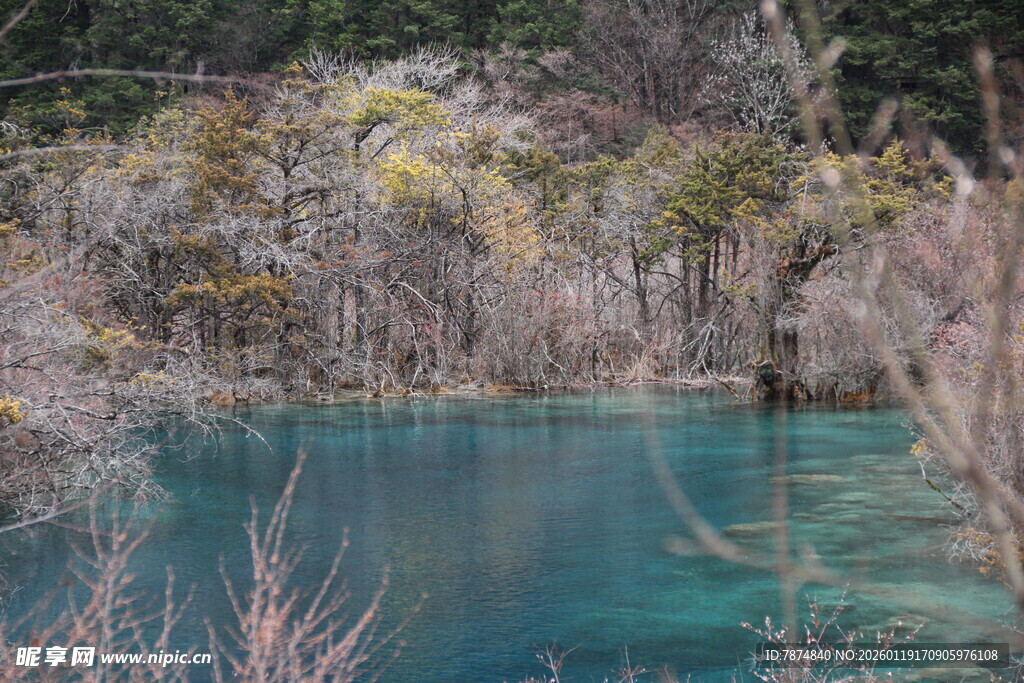 蓝绿色湖水与周边植被景观