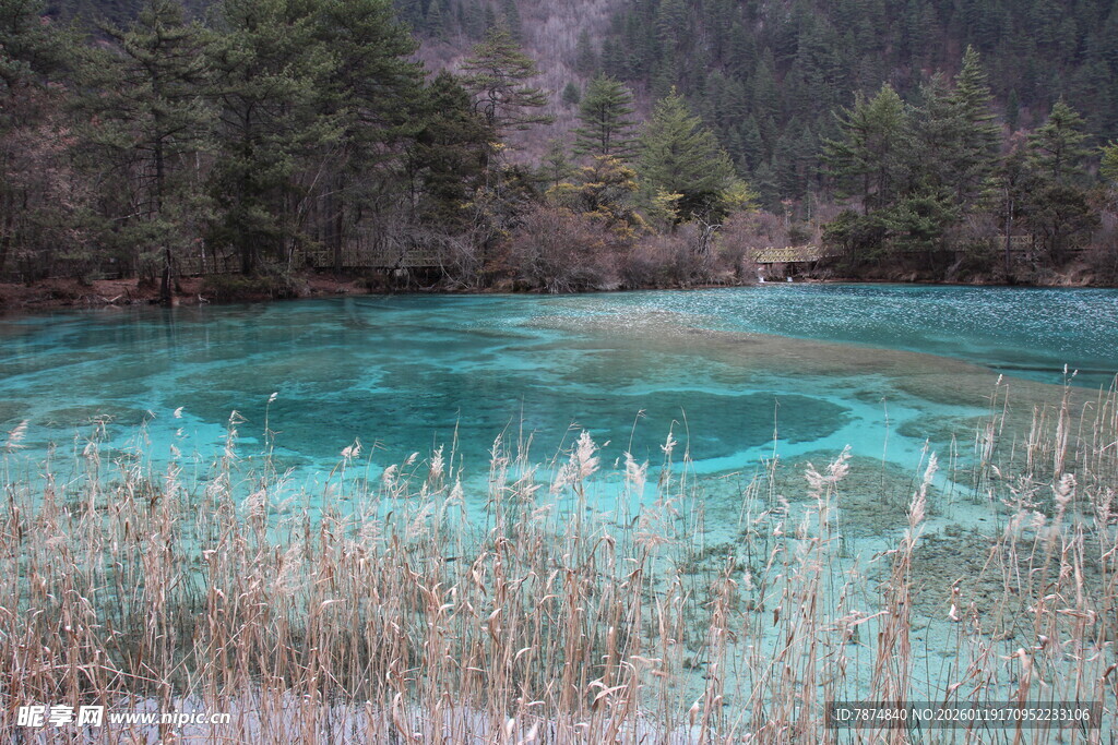 蓝绿色湖水边的芦苇与山林