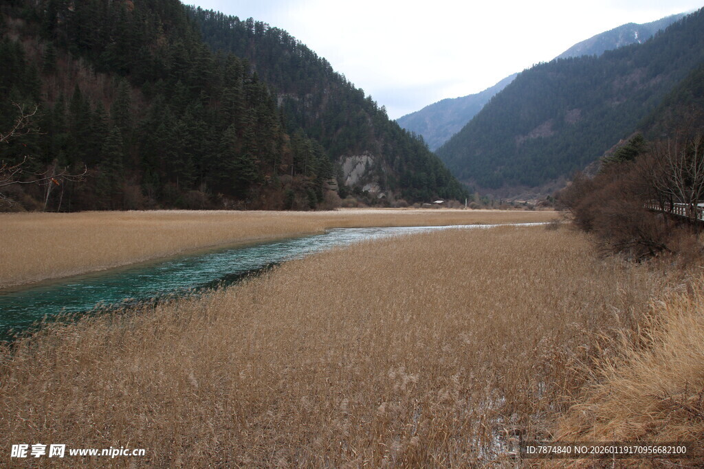 山间河旁枯黄草地景观