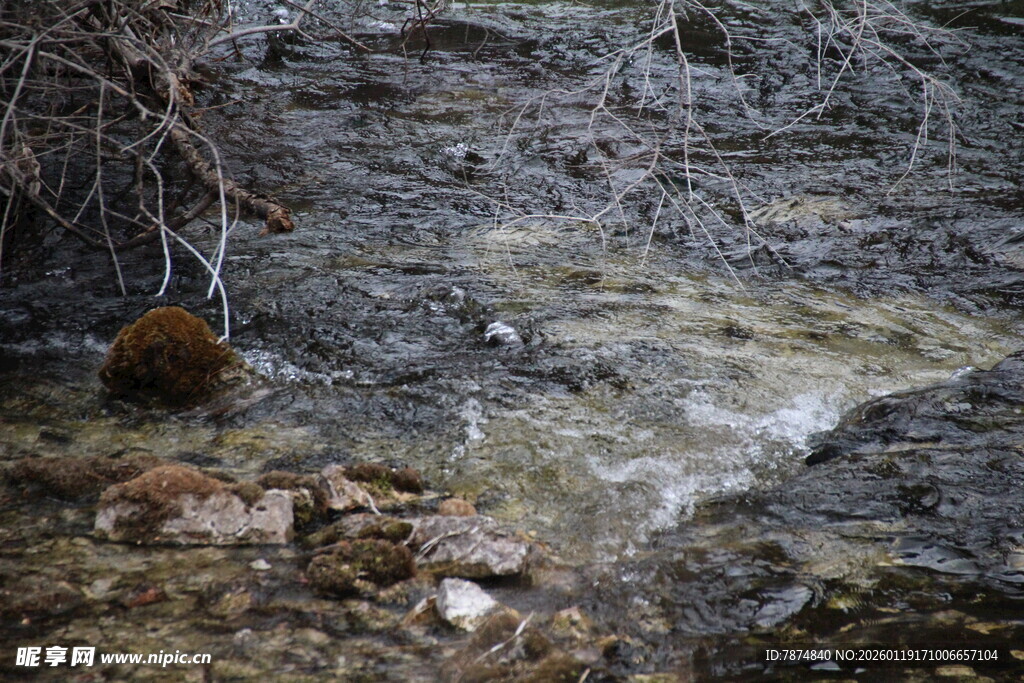 山间溪流中的石头与植物