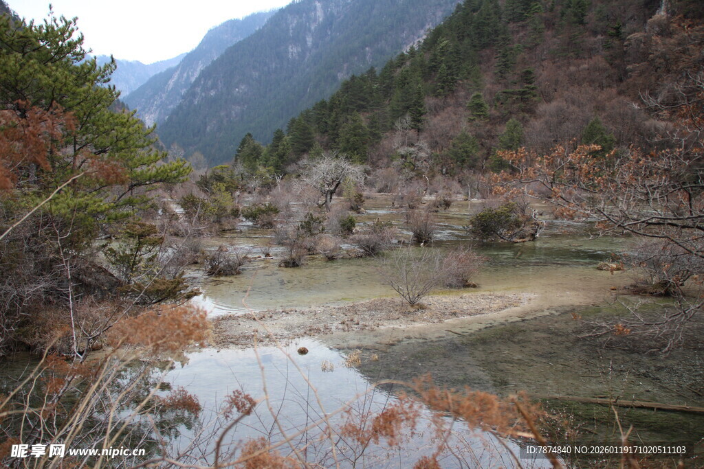 山间静谧溪流景色